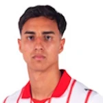 维托尔·努内斯