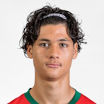 纳乌费勒·汉纳什